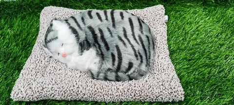 Car dashboard sleeping cat