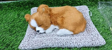 Car dashboard sleeping dog